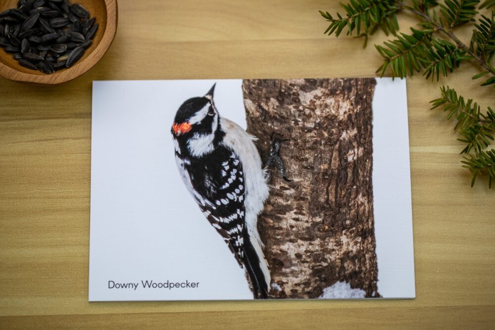 Birds on Branches Greeting Card Set - Image 6