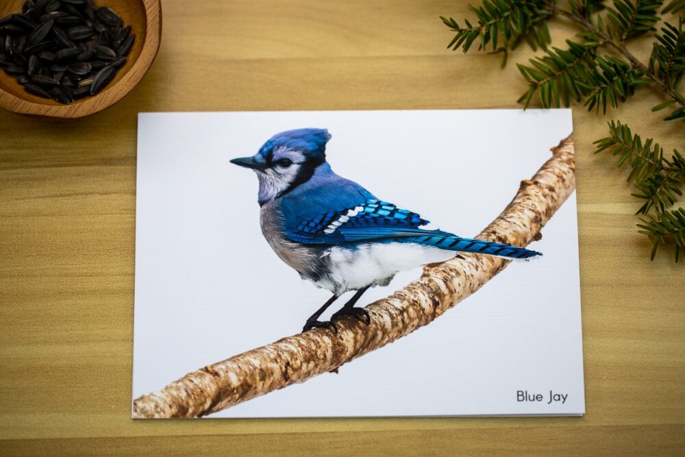 Birds on Branches Greeting Card Set - Image 4