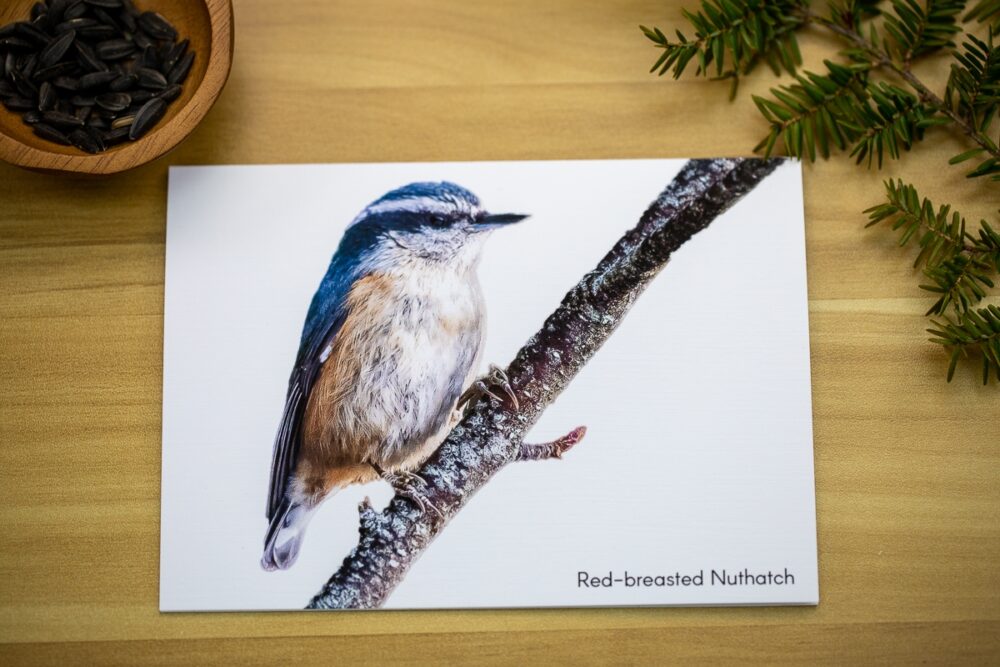 Birds on Branches Greeting Card Set - Image 7