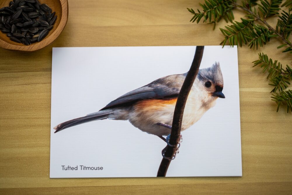 Birds on Branches Greeting Card Set - Image 5