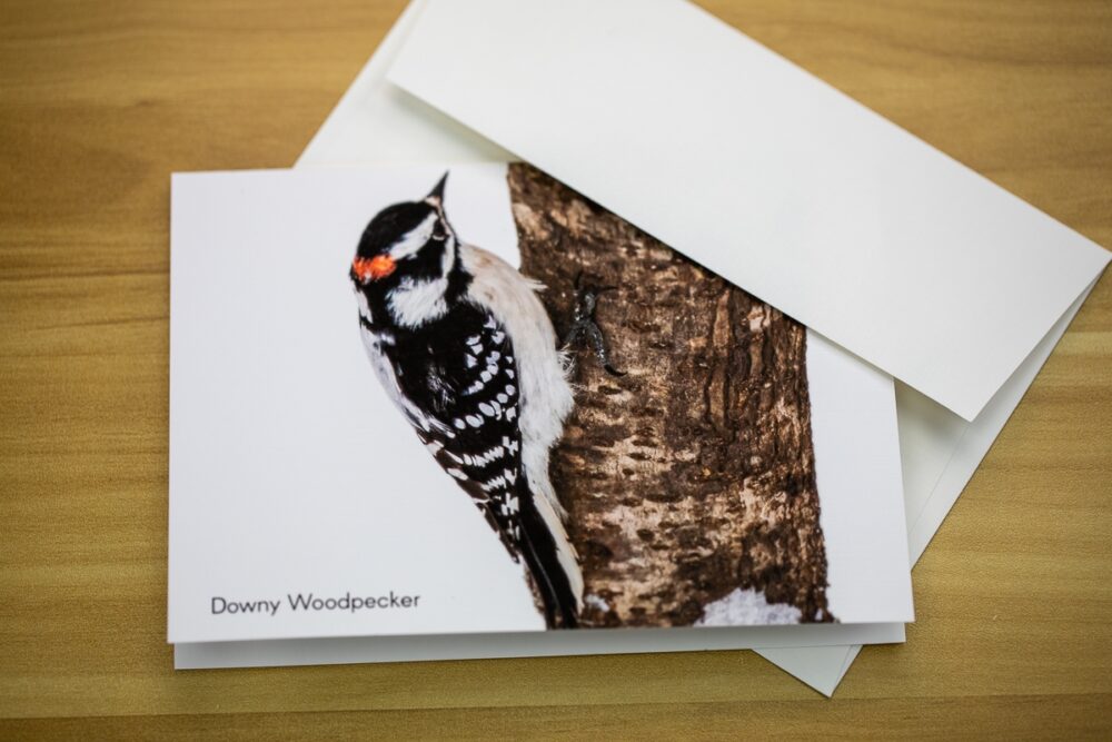 Birds on Branches Greeting Card Set - Image 12