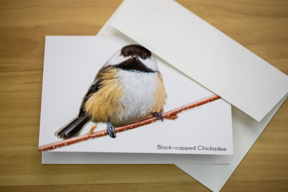 Birds on Branches Greeting Card Set - Image 8