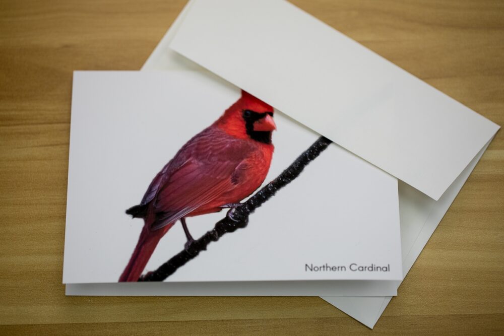 Birds on Branches Greeting Card Set - Image 9