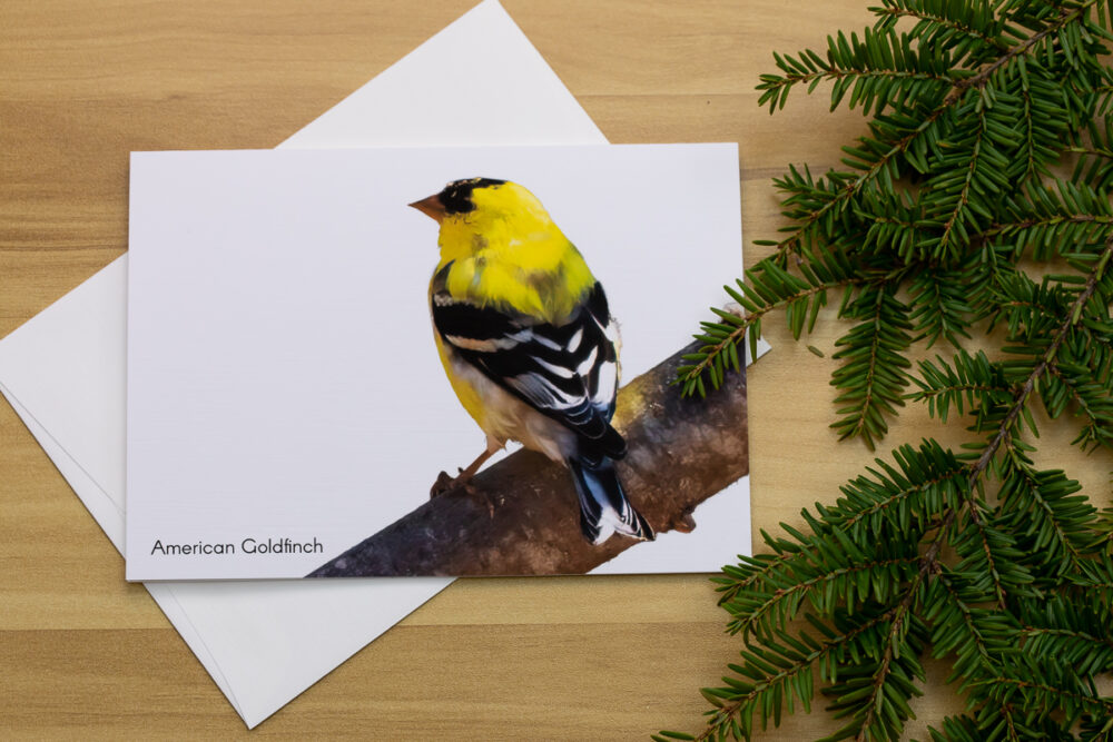 Birds on Branches Greeting Card Set - Image 14