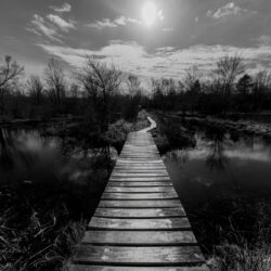 photo of a walking bridge over water