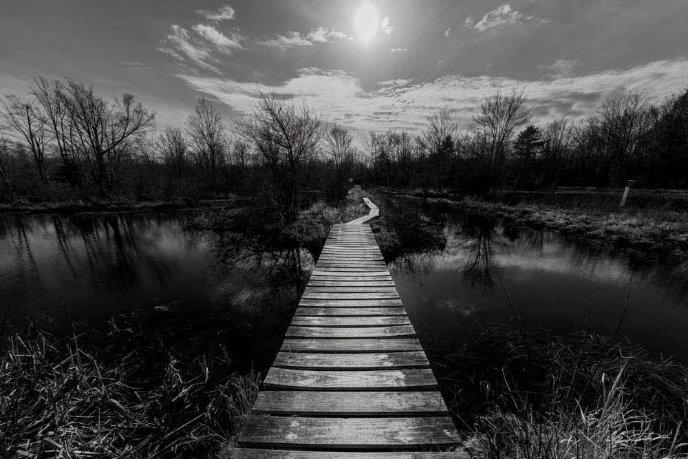 photo of a walking bridge over water