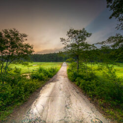 a photo of a bright path leading down a road in Maine