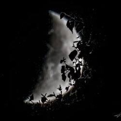 a photo of the moon through the forest trees