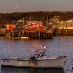 Snow Full Moon Setting Behind Cooks