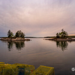 Yellow lobster traps beside calm coastal water at Lookout Point in Harpswell, Maine during evening light