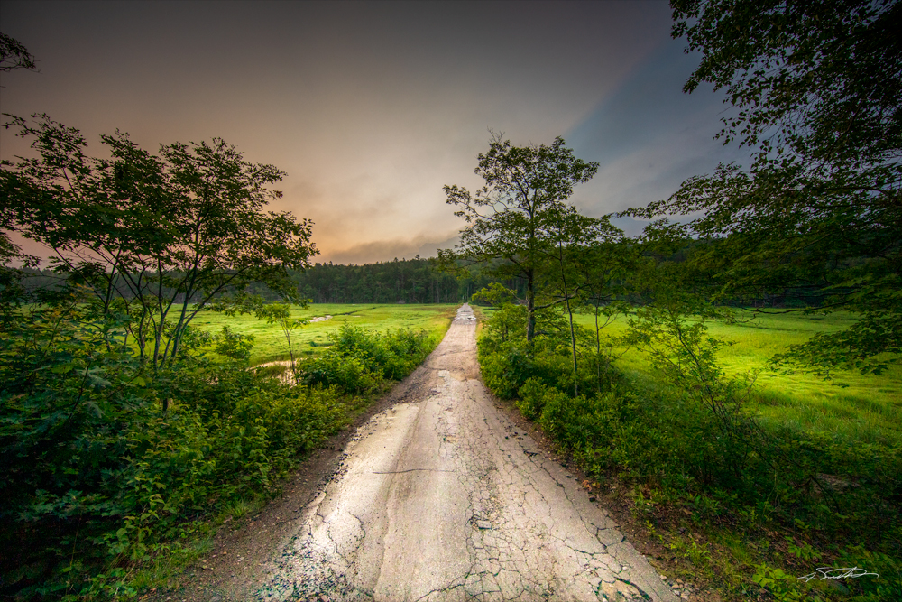 a photo of a bright path leading down a road in Maine
